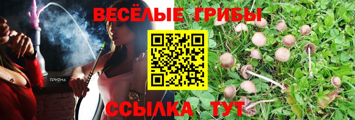 Сарапул  Псилоцибиновые грибы Magic Shrooms  Вход с VPN 
